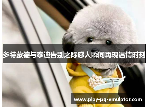 多特蒙德与泰迪告别之际感人瞬间再现温情时刻