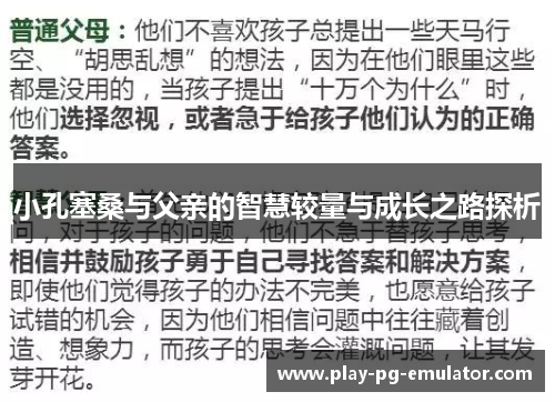 小孔塞桑与父亲的智慧较量与成长之路探析