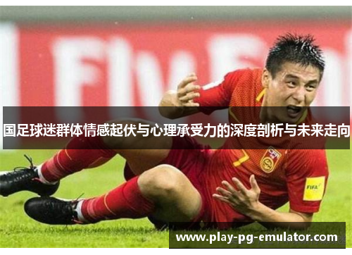 国足球迷群体情感起伏与心理承受力的深度剖析与未来走向