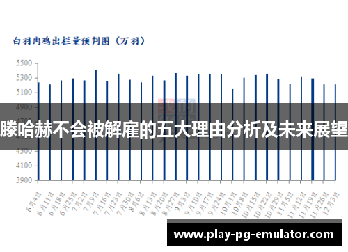 滕哈赫不会被解雇的五大理由分析及未来展望