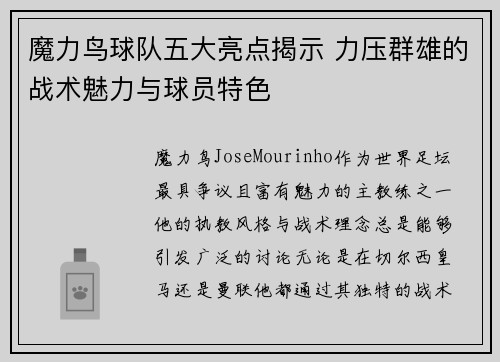 魔力鸟球队五大亮点揭示 力压群雄的战术魅力与球员特色